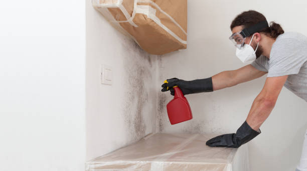 Professional Commercial Mold Remediation technician working in Highland Park, IL