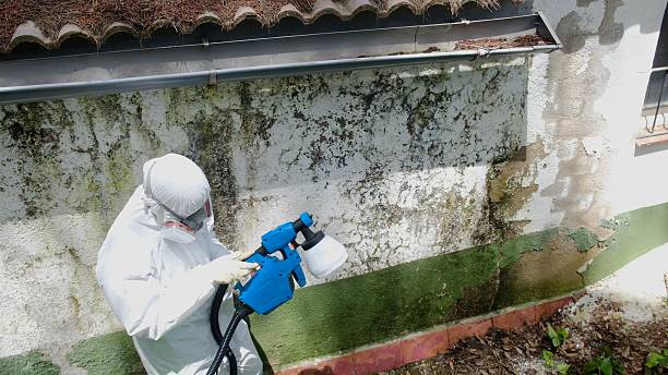 Trusted Bathroom Mold Removal service in Highland Park, IL - Cheap Mold Removal